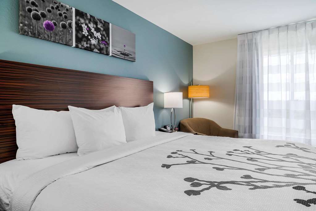 Sleep Inn & Suites Near Westchase Houston Camera foto